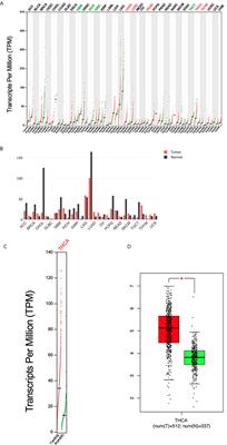 Value of Pyruvate Carboxylase in Thyroid Fine-Needle Aspiration Wash-Out Fluid for Predicting Papillary Thyroid Cancer Lymph Node Metastasis